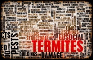 termite inspection for home purchase