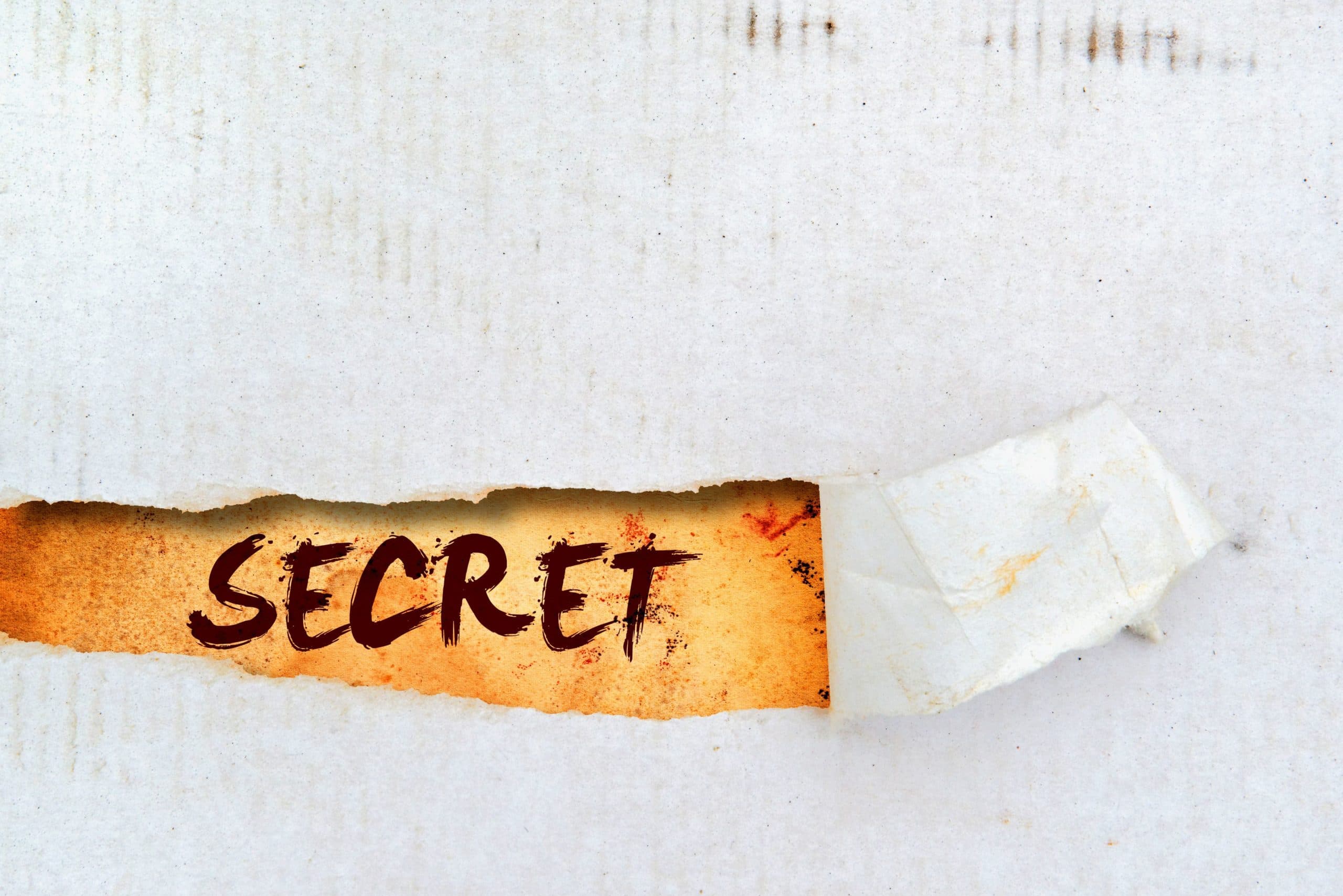 best pest control company best pest control company Alpharetta