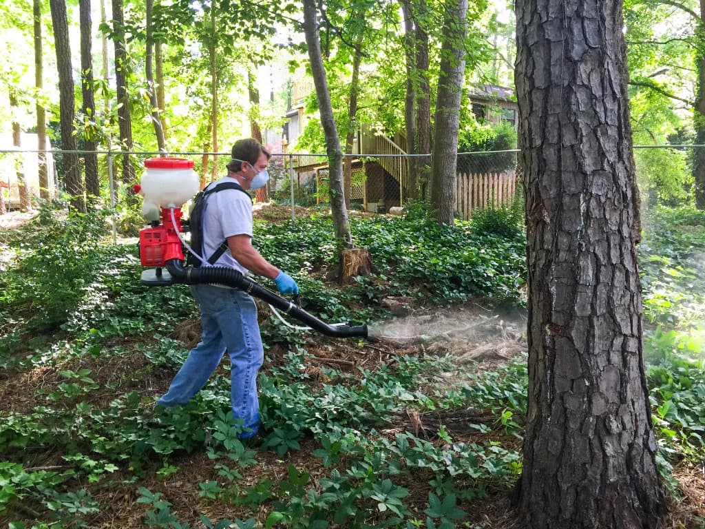 mosquito-treatment-lawn mosquito treatment